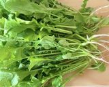 大根のつまみ菜で【摘み菜のごま海苔サラダ作り方6写真