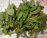 エゴマの葉の甘辛佃煮・保存食作り方1写真