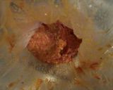 ゴーヤの肉詰め♪ひまわり風作り方3写真