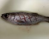 「煮魚の基本」クロムツの煮付け作り方7写真