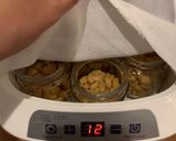 ドイツDE納豆作り方12写真