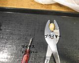銀杏の大量処理から冷凍保存まで作り方5写真