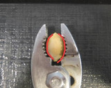 銀杏の大量処理から冷凍保存まで作り方6写真