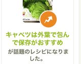 キャベツは外葉で包んで保存がおすすめ作り方16写真