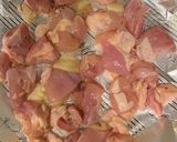 鶏肉と青パパイヤのオイスターソース炒め作り方4写真