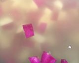 小松菜とさつまいもの味噌汁作り方3写真