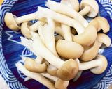 レンジ胸肉茄子オイスター炒め味青椒肉絲風作り方4写真