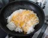 チキンのココナッツミルクカレー作り方12写真