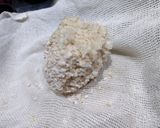 アイリスオーヤマで手作り米麹 醤油麹も作り方13写真