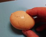 癖になっちゃう味付け玉子作り方3写真