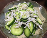 きゅうりと釜飯しらすを出汁で和えるだけ作り方3写真