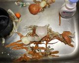 北海道フォンデュシチュー作り方8写真