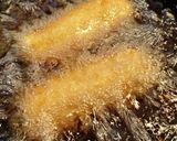 豚キムチーズカツ作り方7写真