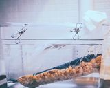 45℃ 低温調理で自家製納豆作り方21写真