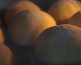 まんまる可愛い優しい味「かぼちゃパン」作り方19写真