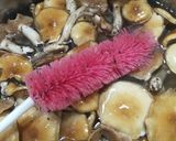 クリフウセンタケの採集と保存作り方11写真