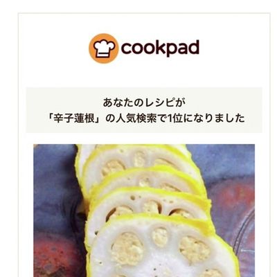 △熊本限定　モンチッチ 辛子レンコン 小物｜元祖 森からし蓮根