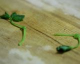 ゆず香る！ゆり根の茶わん蒸し作り方6写真