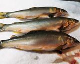 鯛めしにも負けない鮎めし作り方1写真