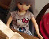 リカちゃん♡かぶと揚げさん鶏肉焚いたん❁作り方10写真