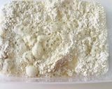 手ごねなしタッパーで作る食パン作り方1写真