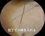 子持ち鰈の煮付け作り方2写真