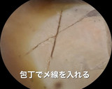 子持ち鰈の煮付け作り方2写真
