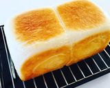 手ごねなしタッパーで作る食パン作り方13写真