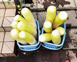早漬かり三温糖でサワー漬け作り方1写真