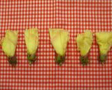 ☆茄子の焼き浸し〜花オクラ添え☆作り方7写真