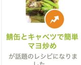 鯖缶とキャベツで簡単マヨ炒め作り方9写真