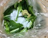 ツ〜ンッ！美味しい小松菜の浅漬け作り方4写真