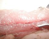 サンマの邪道お造り作り方7写真