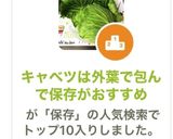 キャベツは外葉で包んで保存がおすすめ作り方17写真