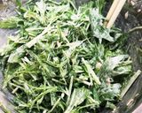 水菜のワサビ和え作り方1写真