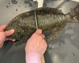 魚のさばき方(5枚おろし)作り方1写真