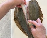 魚のさばき方(5枚おろし)作り方9写真
