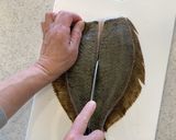 魚のさばき方(5枚おろし)作り方6写真