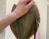 魚のさばき方(5枚おろし)作り方5写真