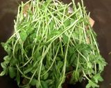 豚バラ・豆腐・豆苗のトウチ醬重ね煮作り方4写真