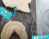 お代わり、韮無し、丸型餃子♡作り方9写真