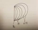 初、オリジナル小鳥りんご作り方♡作り方1写真