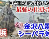 釣り人必見！簡単カワハギ刺身作り方作り方2写真