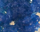 ホタテの炙り〜リナブルー®ジュレ添え〜作り方4写真