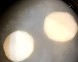 ふっくら ふろふき大根作り方2写真