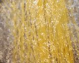 リカちゃん♡れんこん入りトマトパスタ⁎*作り方2写真
