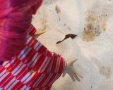 リカちゃん♡ぶりれんこんꕤ…˖*作り方8写真
