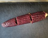 とうもろこしとカニカマのマヨサラダ作り方3写真