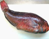 ブダイの煮付け作り方1写真