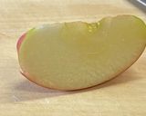 扇みたいにりんごを並べる作り方1写真